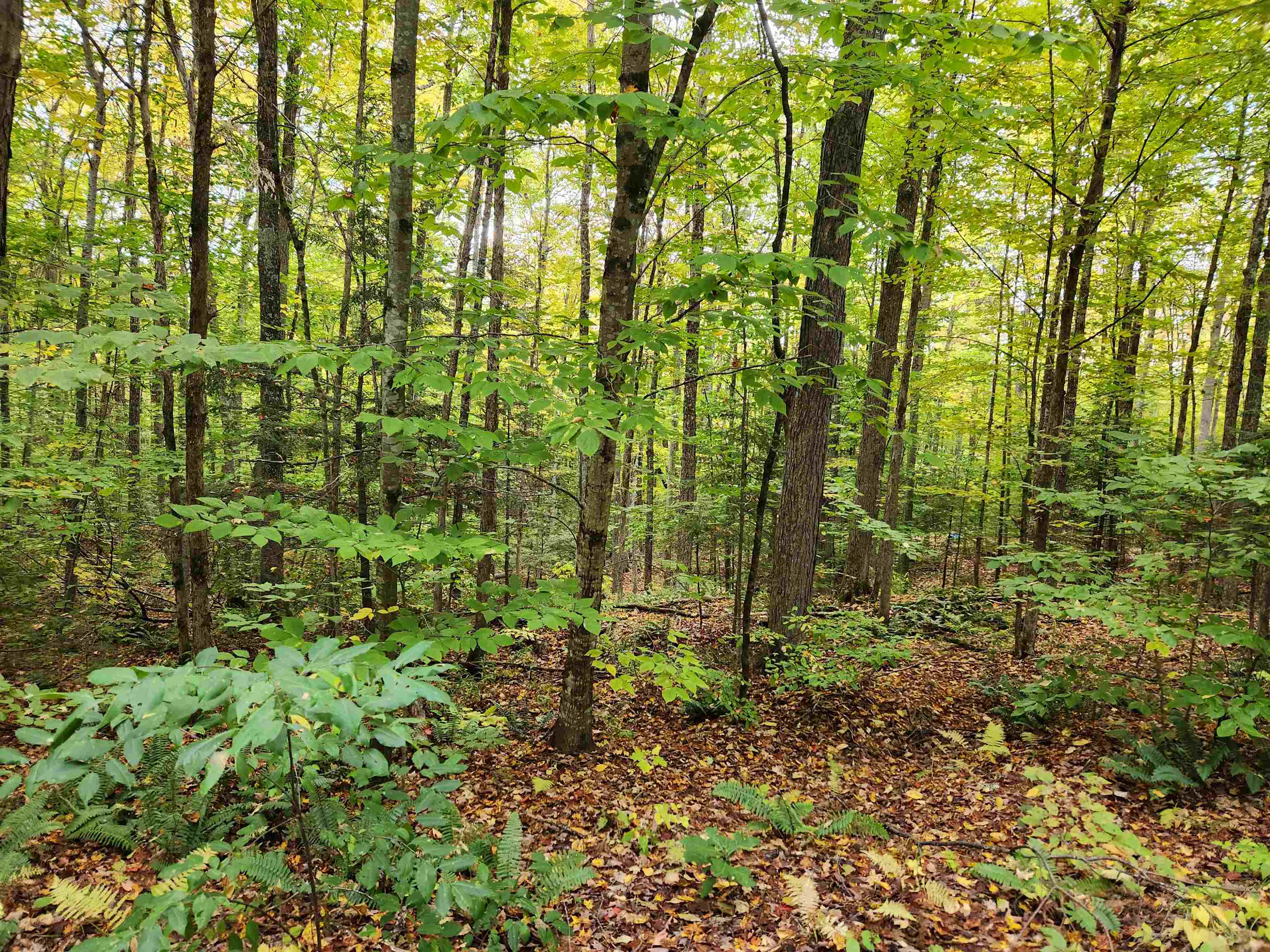 177 Ogorman Road Newbury, VT 05033 - Photo 27 of 30