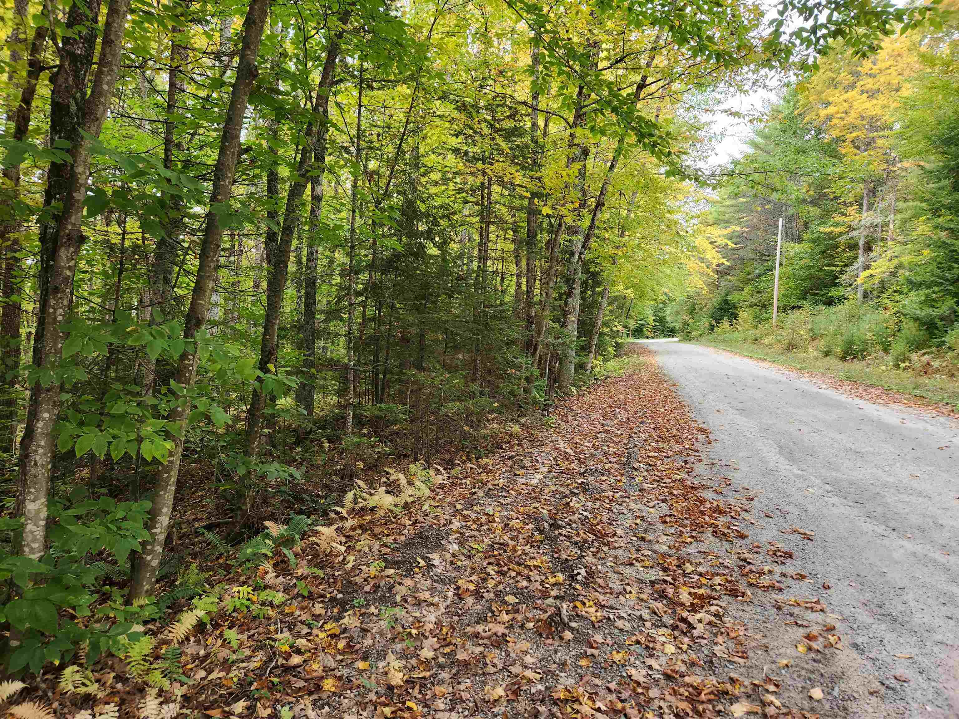 177 Ogorman Road Newbury, VT 05033 - Photo 10 of 30