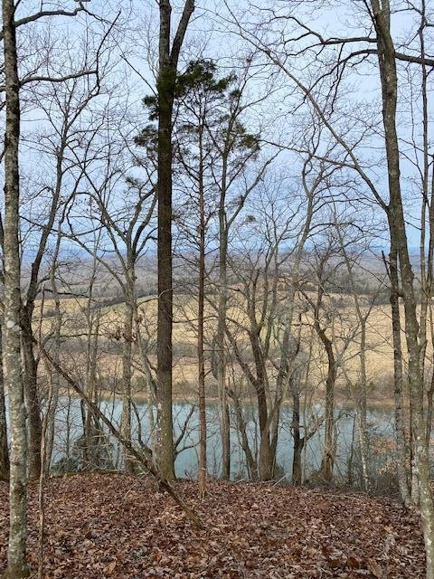 7 River Road Decatur, TN 37322 - Photo 1 of 5