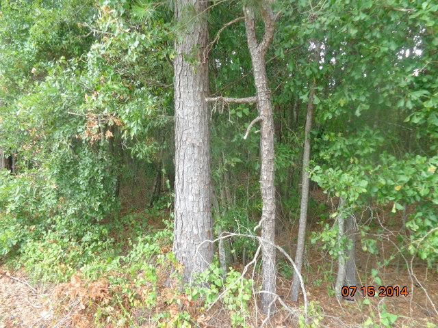 710 Doris McGill Road, Unit MIDDLETON ROAD Anderson, SC 29624 - Photo 11 of 16 Gallery Image 11