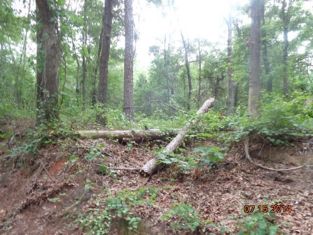710 Doris McGill Road, Unit MIDDLETON ROAD Anderson, SC 29624 - Photo 14 of 16 Gallery Image 14