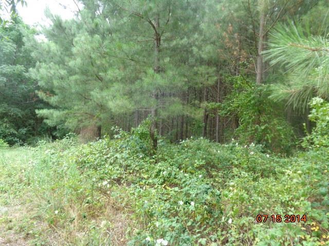 710 Doris McGill Road, Unit MIDDLETON ROAD Anderson, SC 29624 - Photo 3 of 16 Gallery Image 3