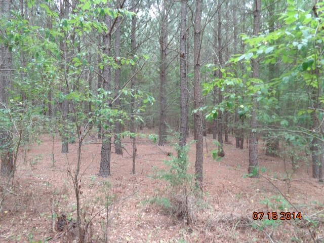 710 Doris McGill Road, Unit MIDDLETON ROAD Anderson, SC 29624 - Photo 4 of 16 Gallery Image 4