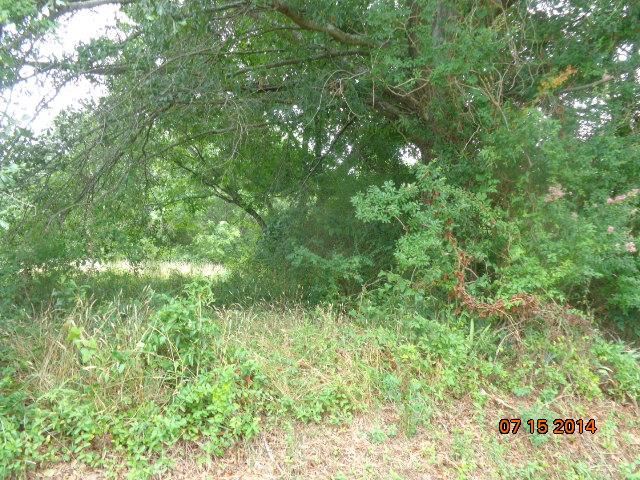710 Doris McGill Road, Unit MIDDLETON ROAD Anderson, SC 29624 - Photo 8 of 16 Gallery Image 8