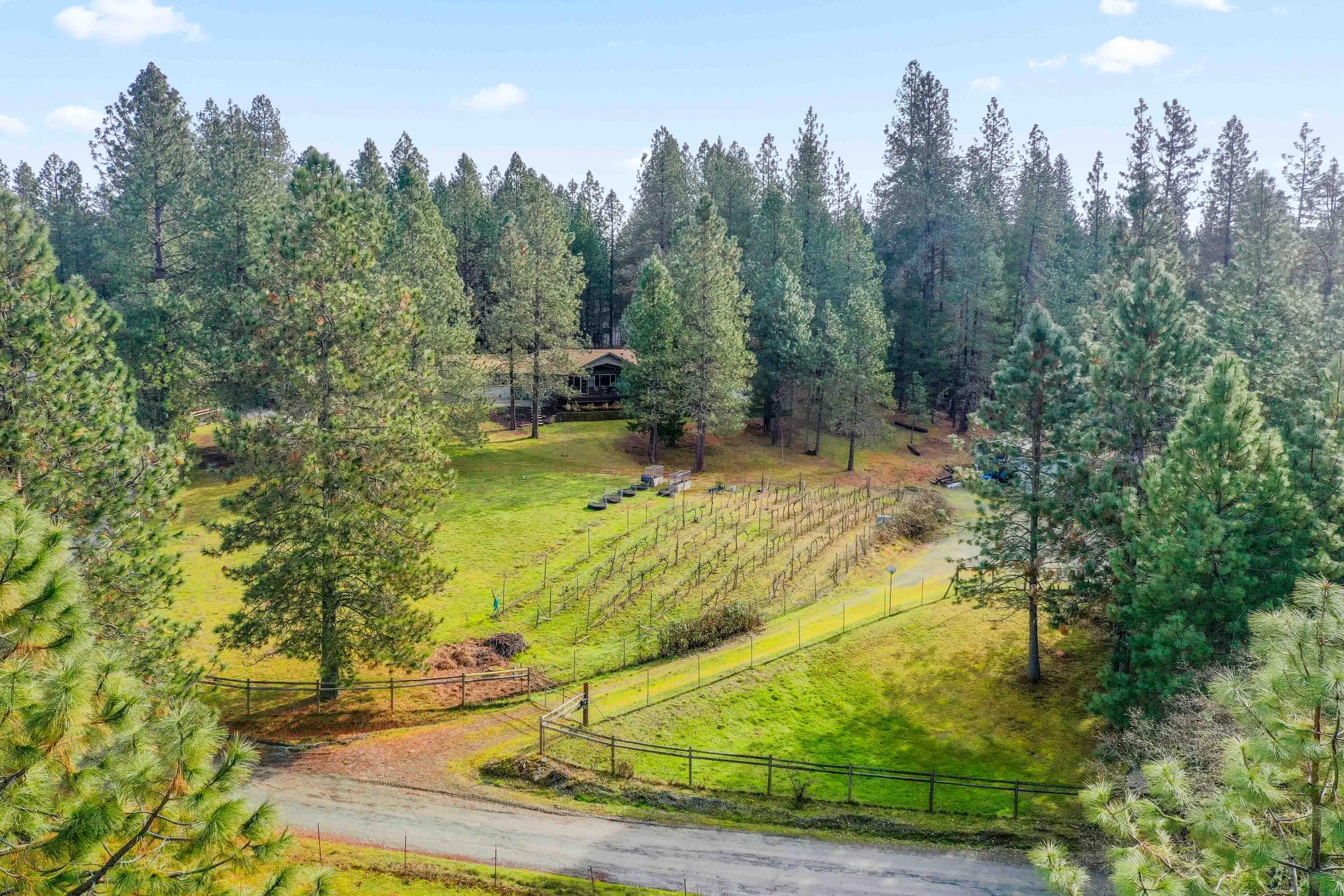 1280 Crow Road Merlin, OR 97532 - Photo 2 of 44 1 (40 of 43)