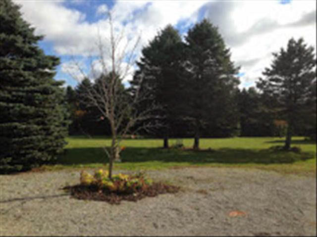 13140 Albain Road Petersburg, MI 49270 - Photo 5 of 24 Gallery Image 5