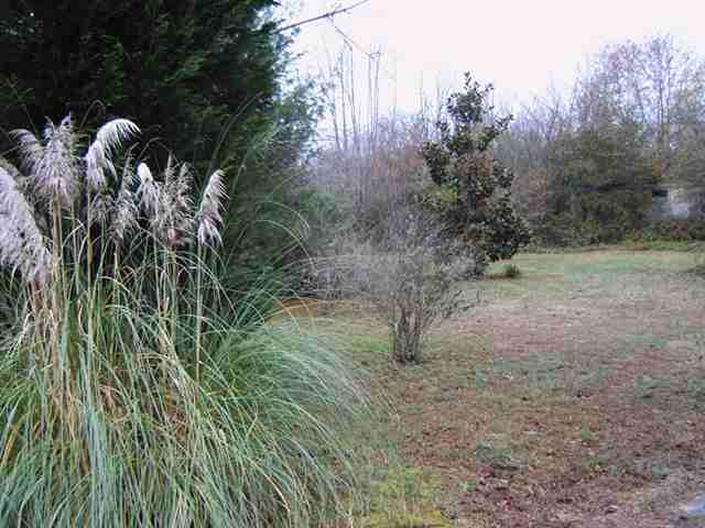 385 State Rd S-42-2788 Greer, SC 29651 - Photo 3 of 4 Gallery Image 3