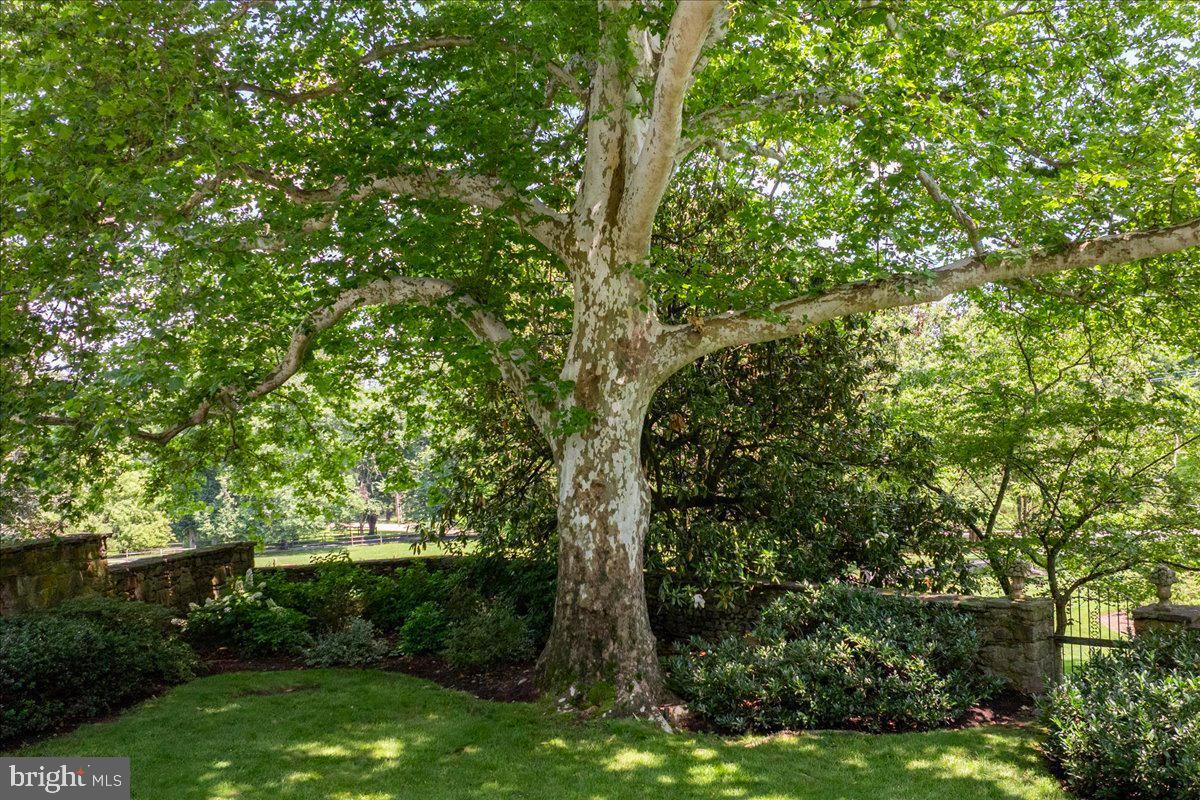 7029 Sheaff Lane Fort Washington, PA 19034 - Photo 73 of 77