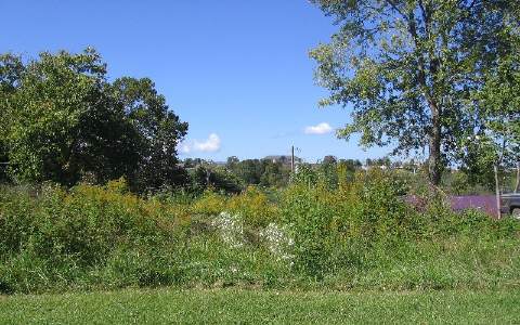 2nd Street Blue Ridge, GA 30513 - Photo 1 of 1 a view of a garden