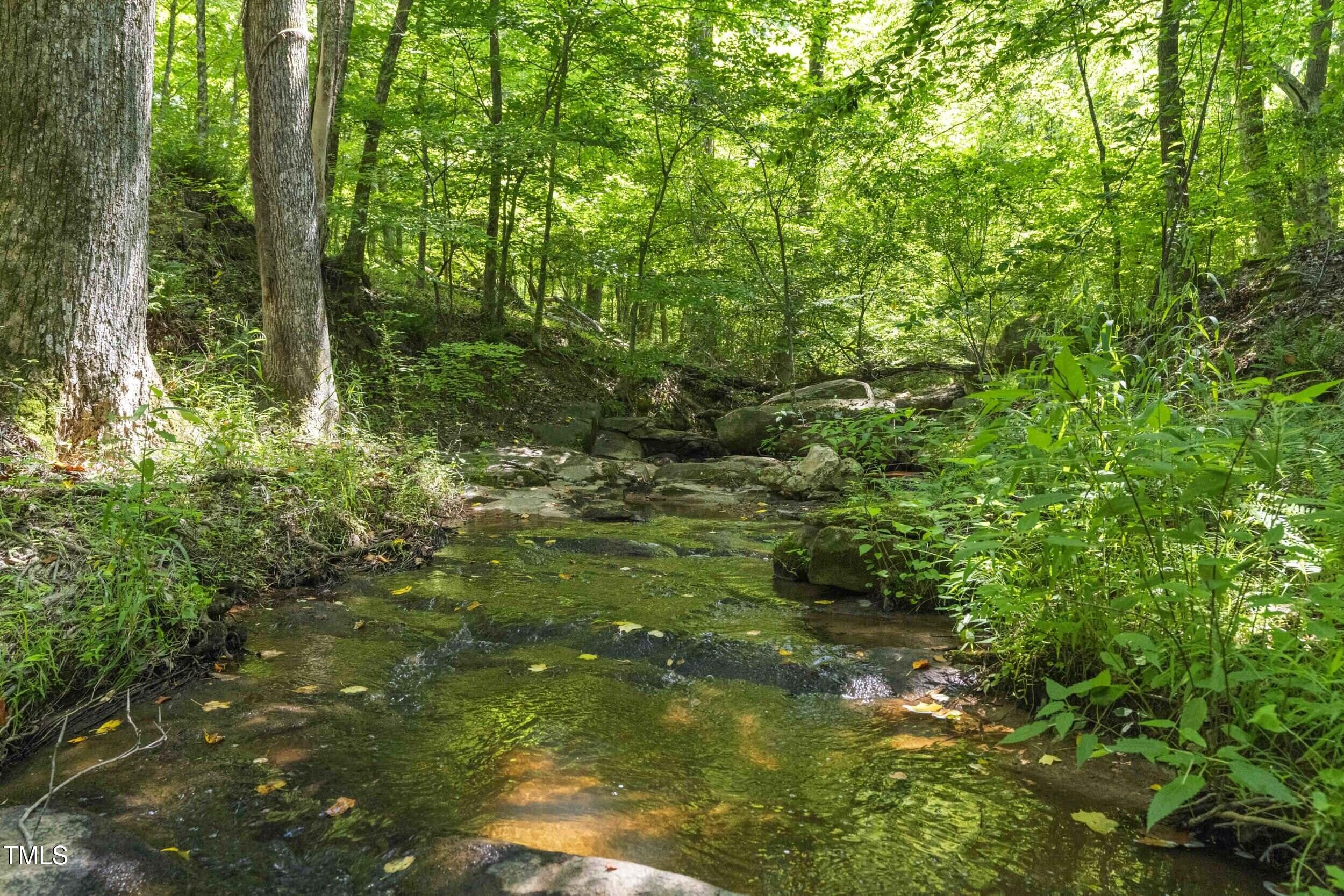 2117 Averette Road Wake Forest, NC 27587 - Photo 42 of 58 Another view of Austin Creek