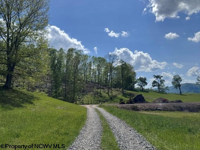 Tbd Shaffers Run Road Mill Creek, WV 26280 - Photo 28 of 43 Gallery Image 28