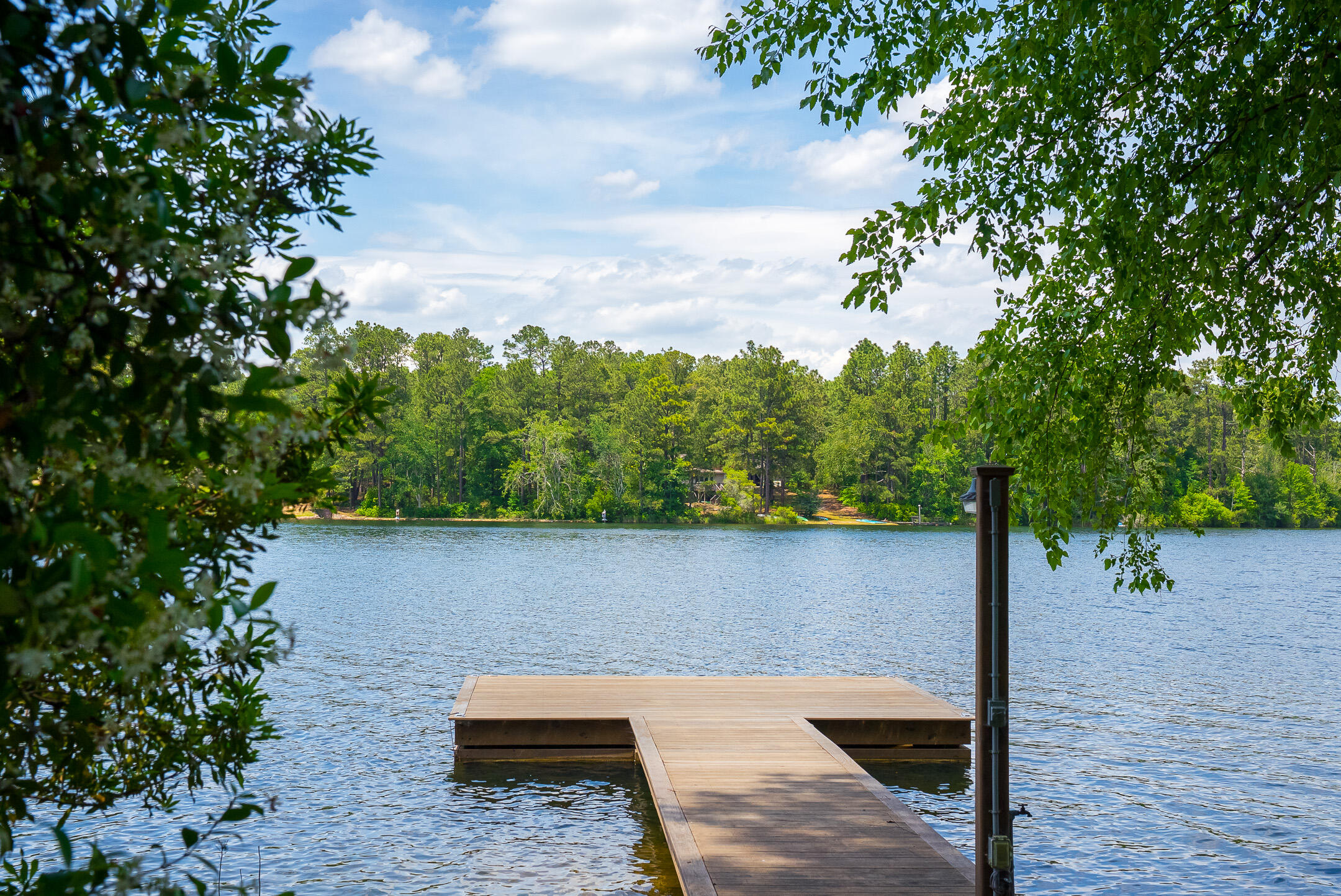 1049 Edisto Lake Road Wagener, SC 29164 - Photo 76 of 96