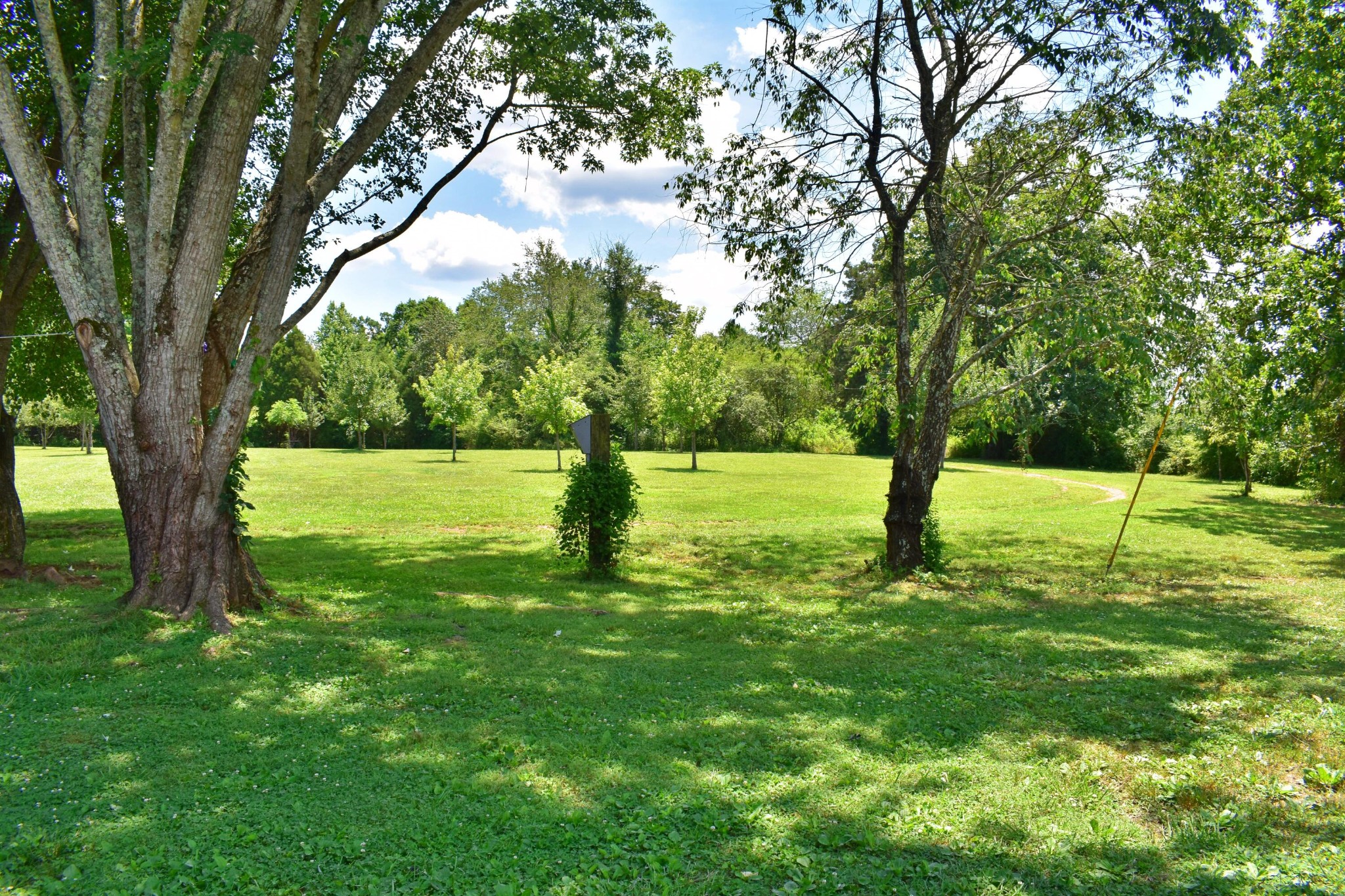 5858 Wolf Creek Road Spring City, TN 37381 - Photo 29 of 76