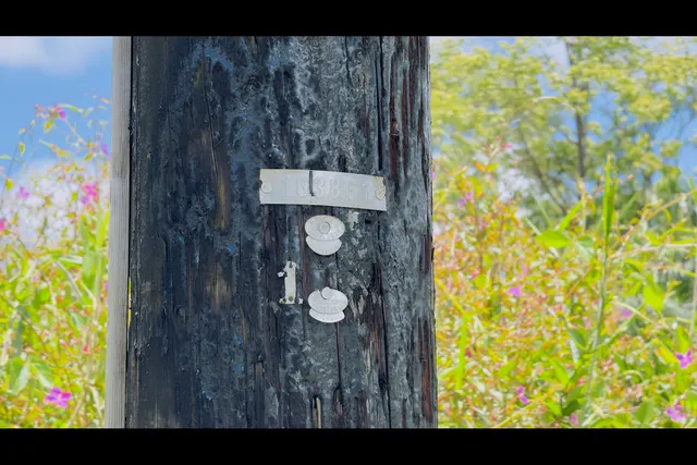 $65,000 | 85 Stardust Drive, Pahoa, HI 96778