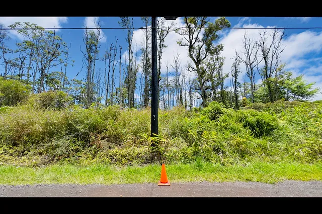 a view of a backyard with pathway