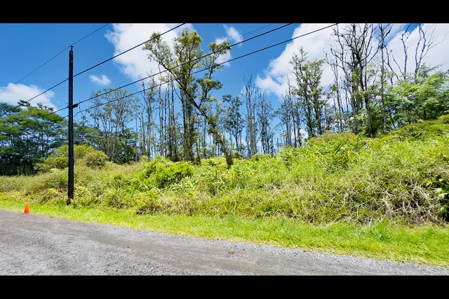 a view of a yard with an tree