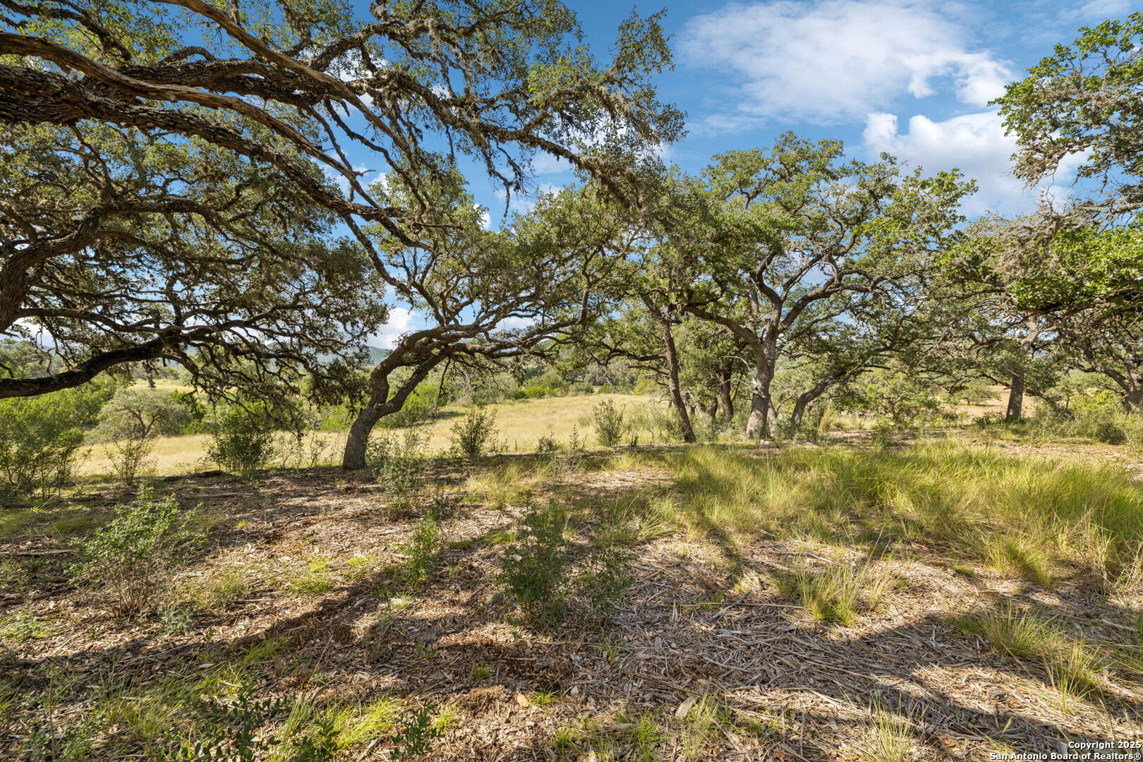 228 Rocky Creek Road Medina, TX 78055 - Photo 15 of 31