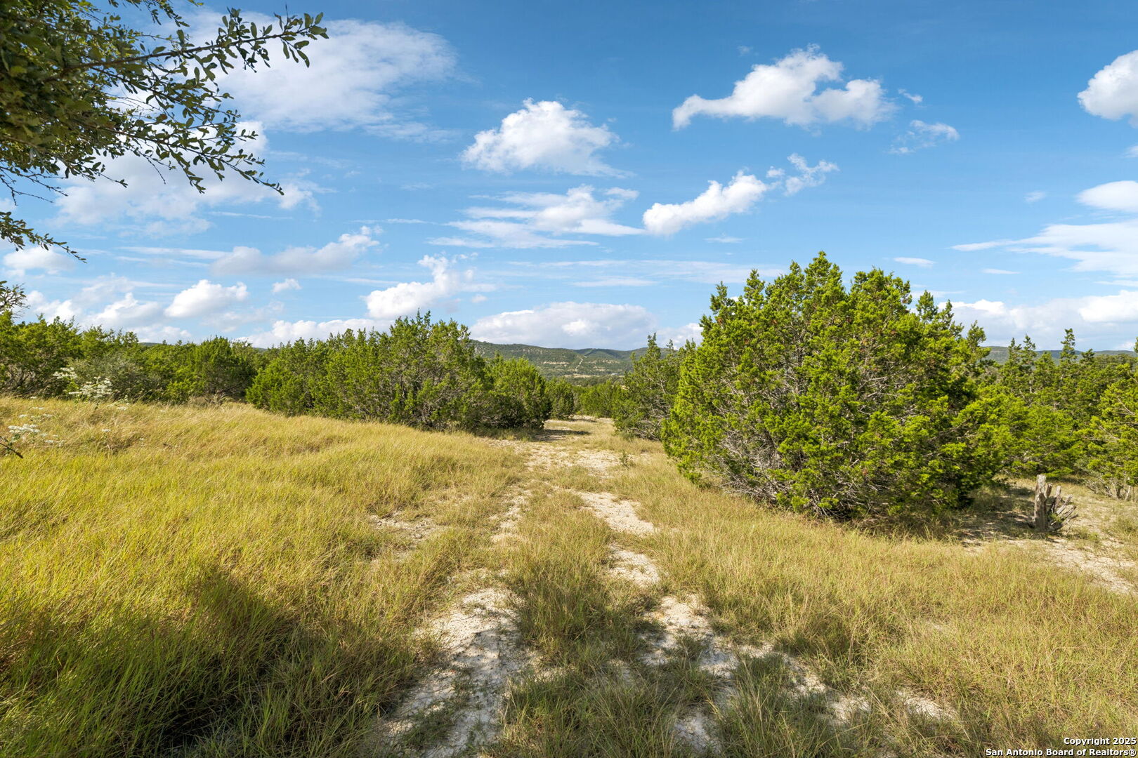 228 Rocky Creek Road Medina, TX 78055 - Photo 19 of 31
