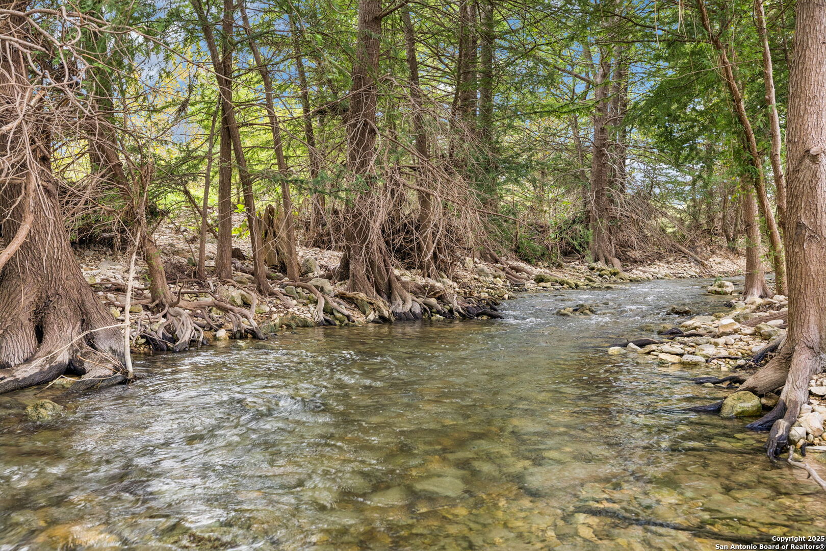 228 Rocky Creek Road Medina, TX 78055 - Photo 4 of 31