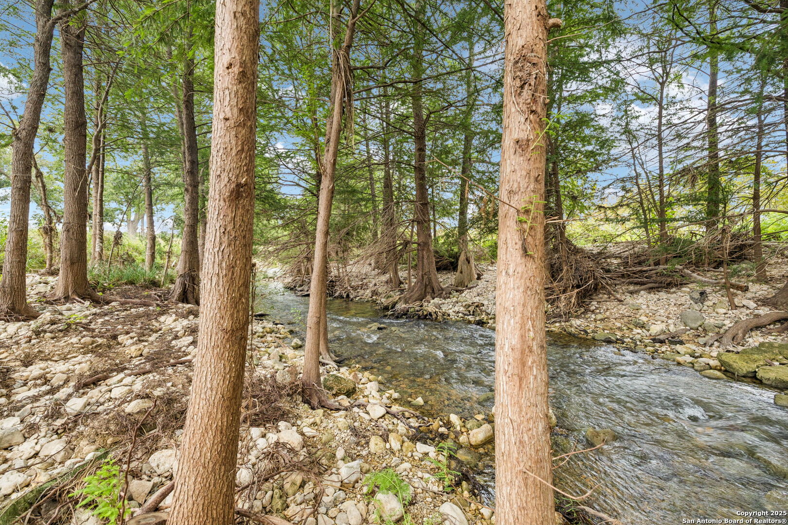 228 Rocky Creek Road Medina, TX 78055 - Photo 6 of 31