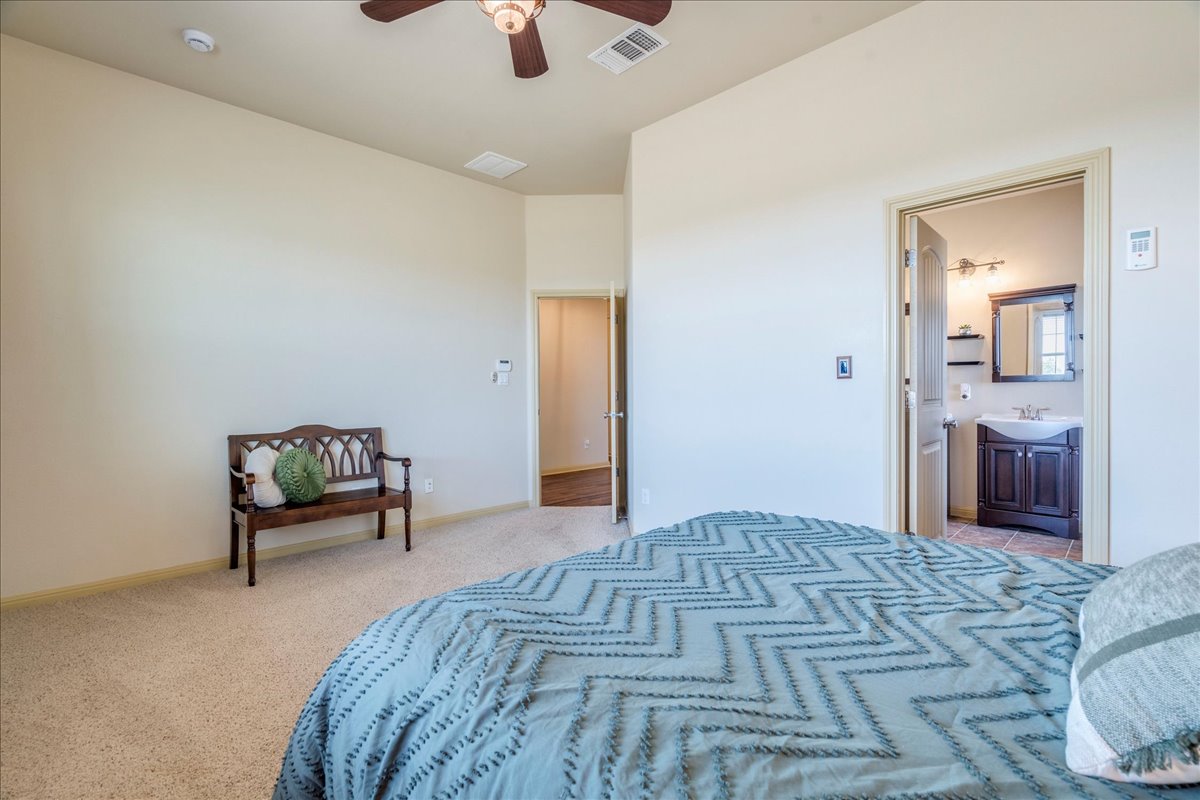909 County Road 342 Granger, TX 76530 - Photo 19 of 37 Primary bedroom with ensuite bath