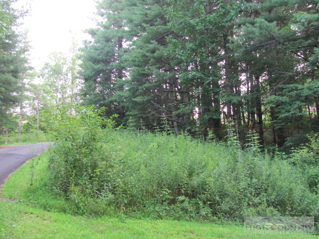 40 Rustic Road West Jefferson, NC 28694 - Photo 1 of 2 Gallery Image 1