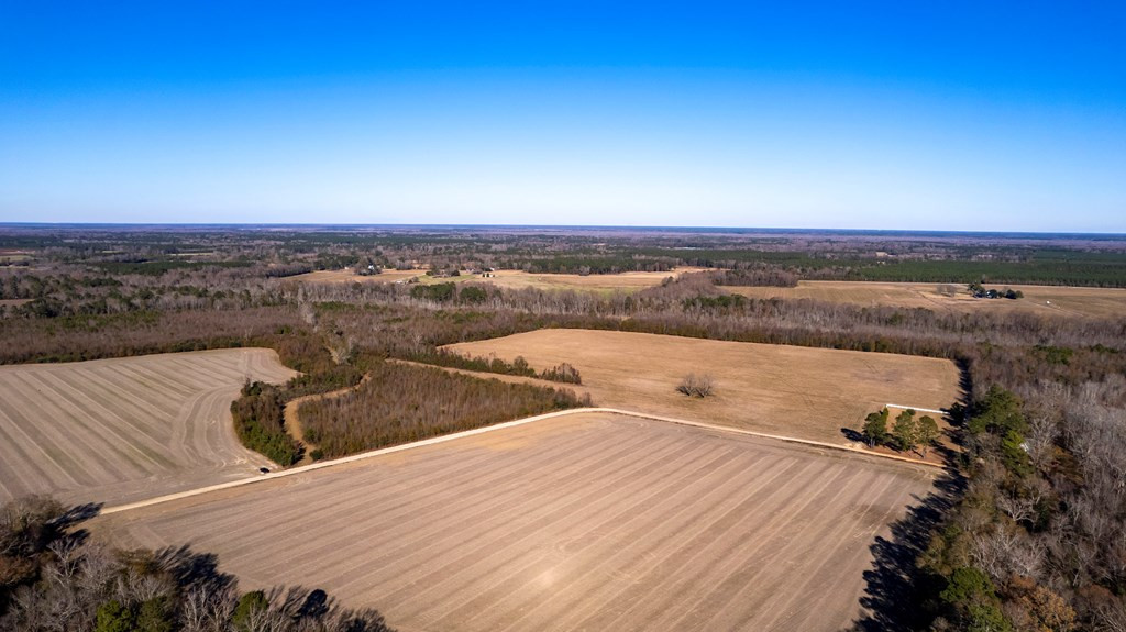 3700 Britton Road Sumter, SC 29153 - Photo 5 of 26
