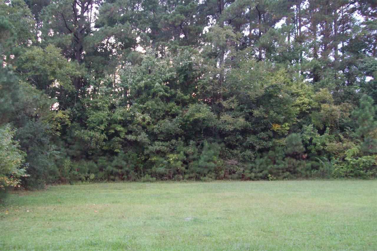134 Thomas Humphrey Road Jacksonville, NC 28546 - Photo 11 of 24 Additional Photo