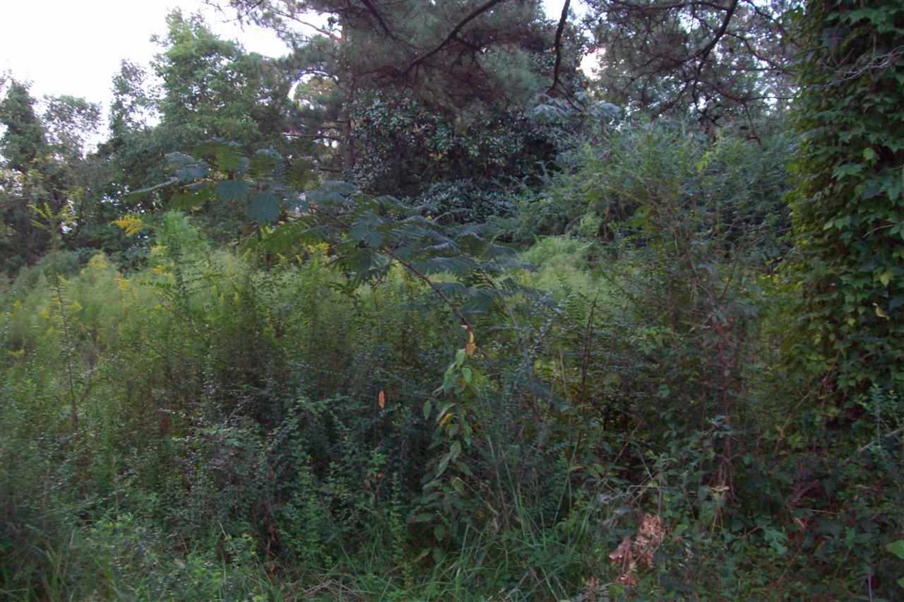 134 Thomas Humphrey Road Jacksonville, NC 28546 - Photo 20 of 24 Additional Photo