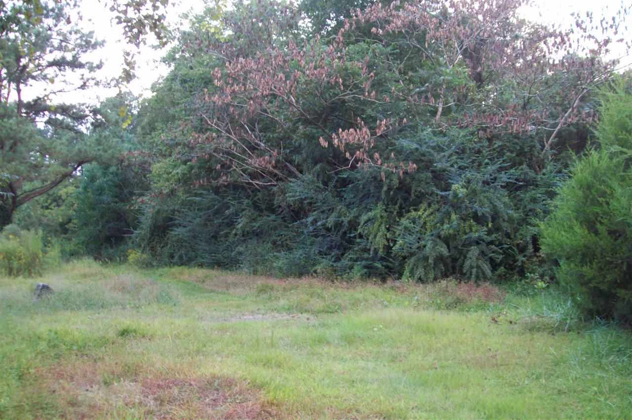 134 Thomas Humphrey Road Jacksonville, NC 28546 - Photo 2 of 24 Additional Photo