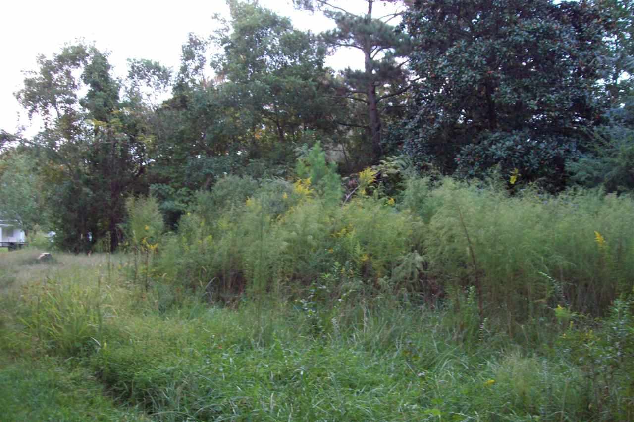 134 Thomas Humphrey Road Jacksonville, NC 28546 - Photo 21 of 24 Additional Photo