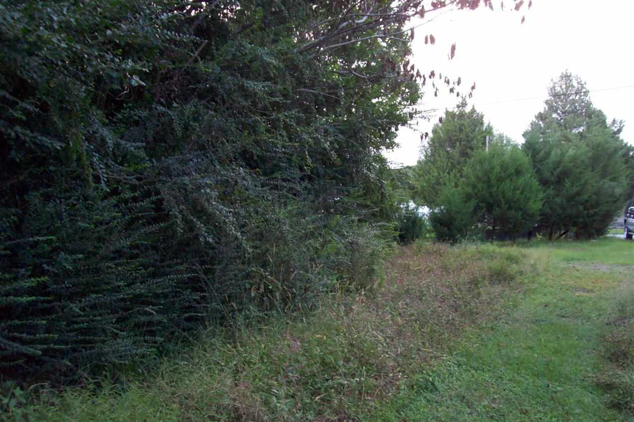 134 Thomas Humphrey Road Jacksonville, NC 28546 - Photo 22 of 24 Additional Photo