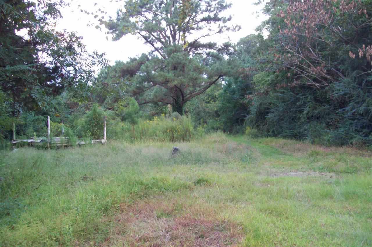134 Thomas Humphrey Road Jacksonville, NC 28546 - Photo 3 of 24 Additional Photo
