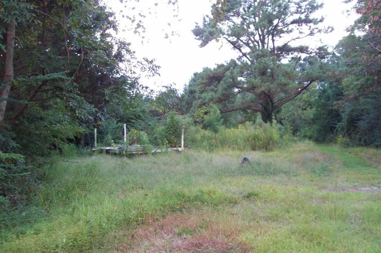 134 Thomas Humphrey Road Jacksonville, NC 28546 - Photo 4 of 24 Additional Photo