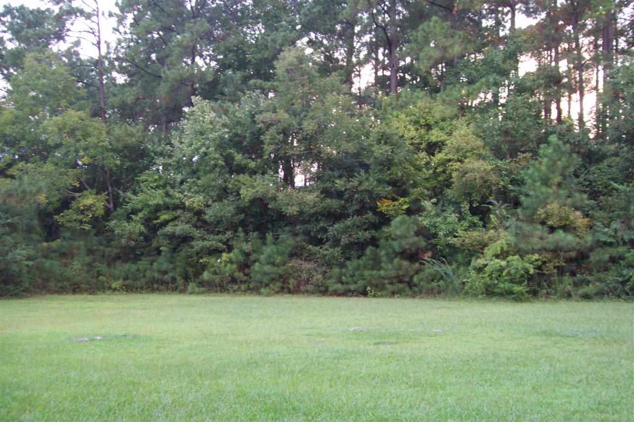 134 Thomas Humphrey Road Jacksonville, NC 28546 - Photo 8 of 24 Additional Photo