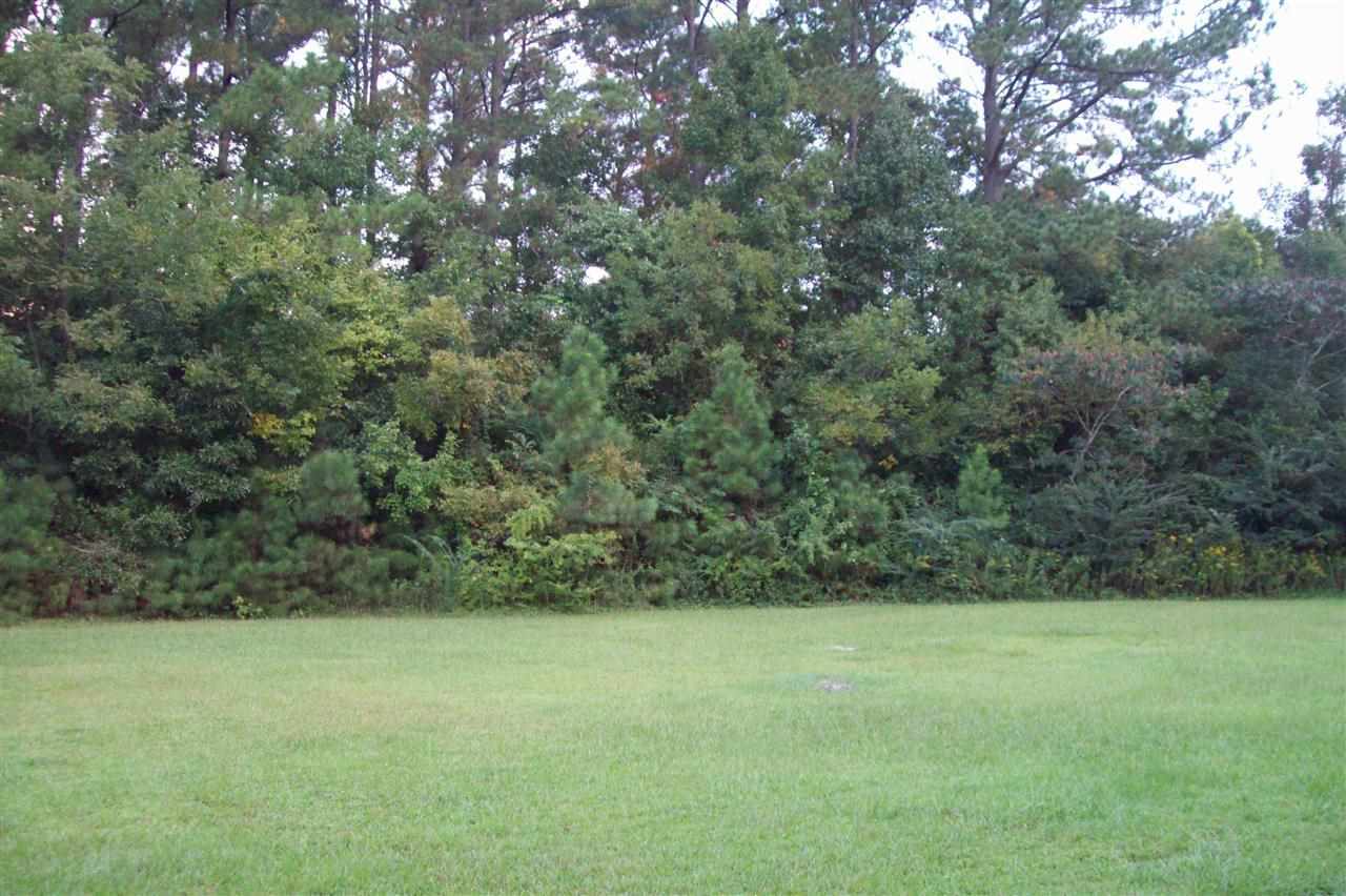 134 Thomas Humphrey Road Jacksonville, NC 28546 - Photo 10 of 24 Additional Photo