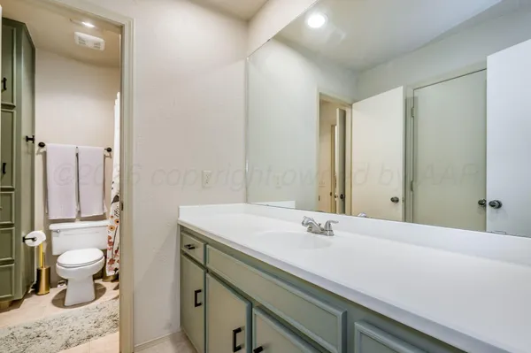 a bathroom with a sink and a toilet