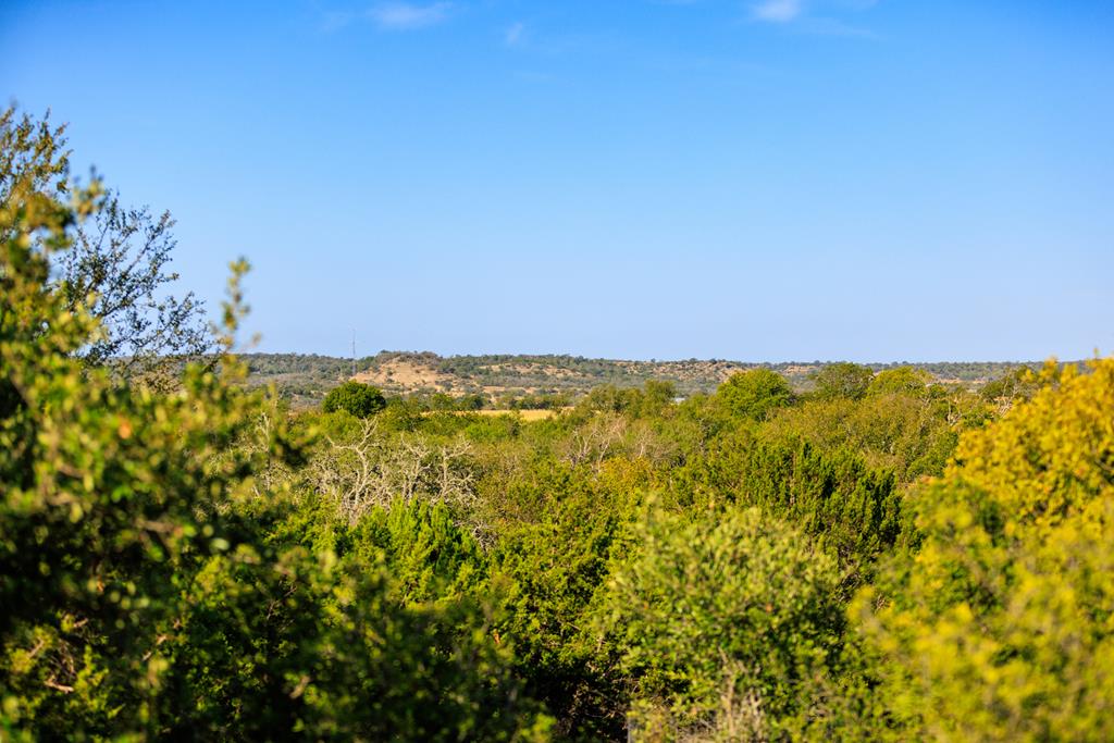 803 Funf Kinder Road Fredericksburg, TX 78624 - Photo 19 of 43 Gallery Image 19