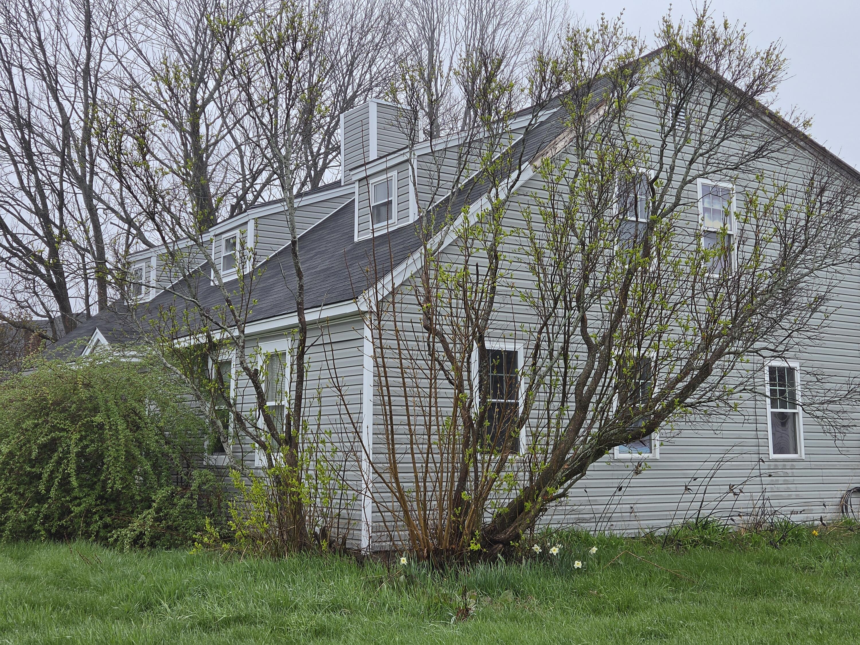 23 Gray Avenue Saco, ME 04072 - Photo 23 of 37 20260430_105539