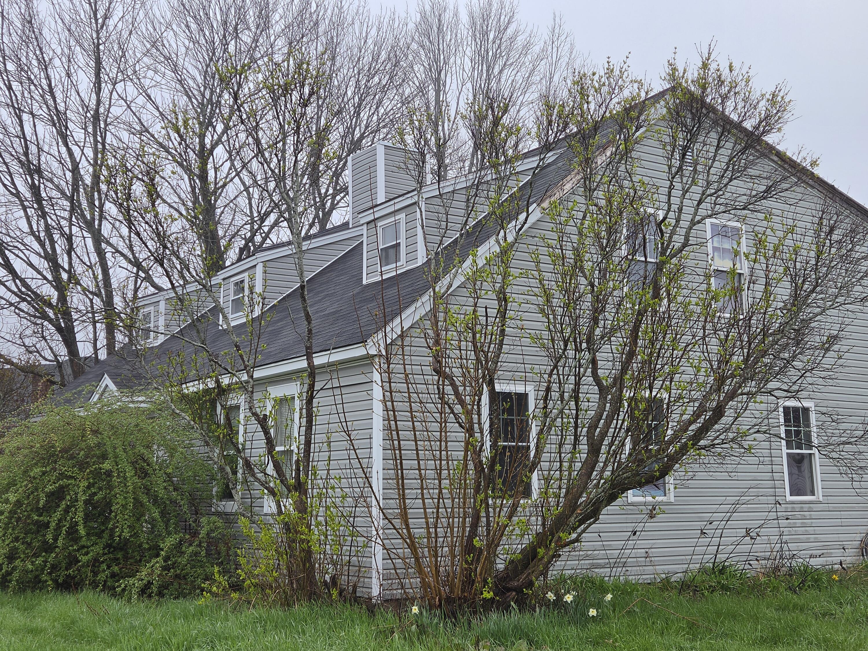 23 Gray Avenue Saco, ME 04072 - Photo 24 of 37 20260430_105546
