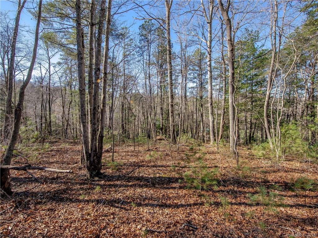 5 Maranatha Road, Unit 2 Fairview, NC 28730 - Photo 1 of 8 Gallery Image 1