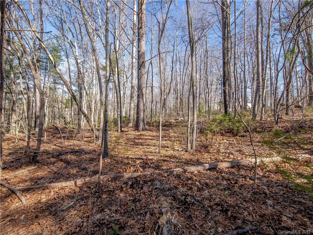 5 Maranatha Road, Unit 2 Fairview, NC 28730 - Photo 4 of 8 Gallery Image 4