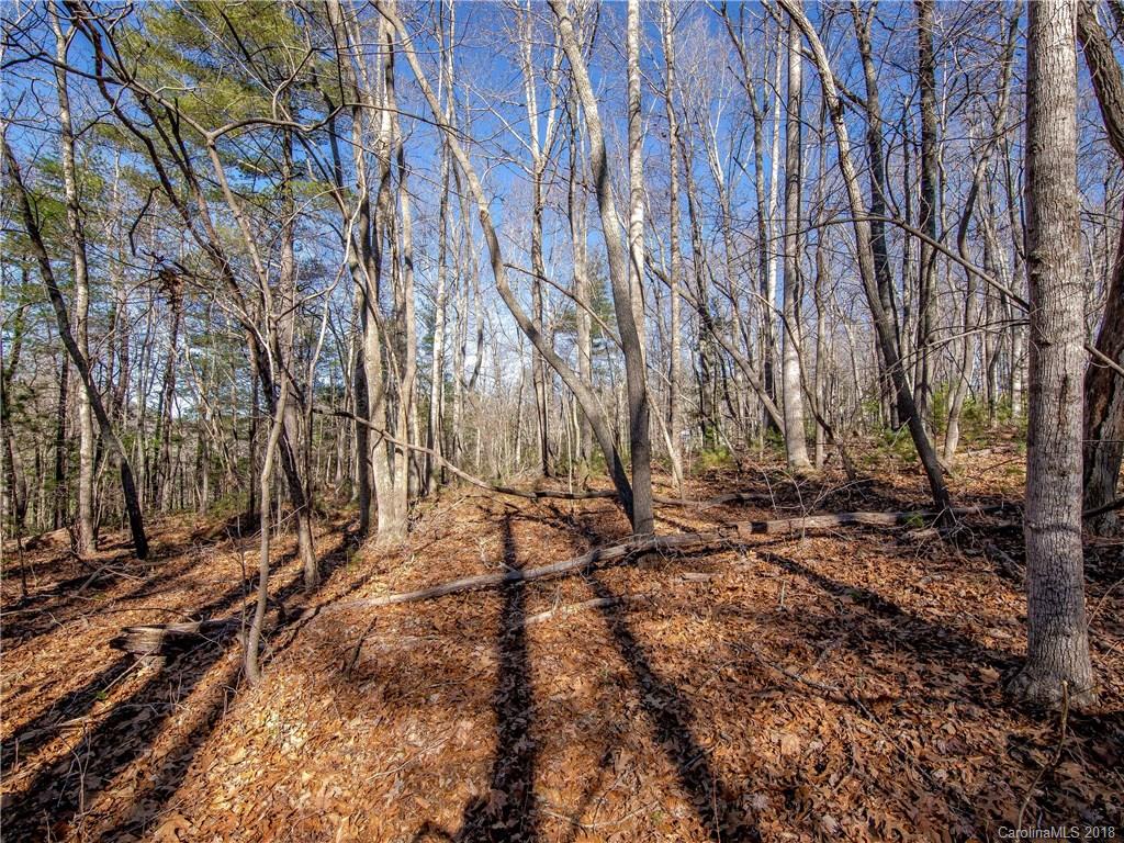 5 Maranatha Road, Unit 2 Fairview, NC 28730 - Photo 5 of 8 Gallery Image 5