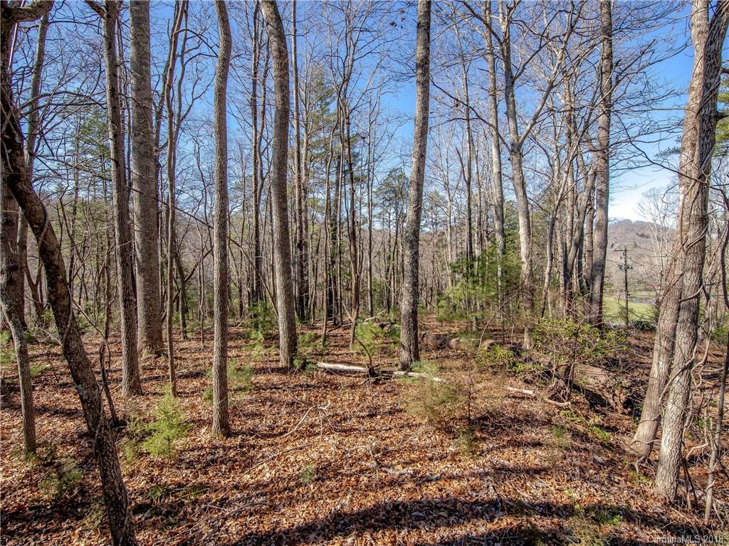 5 Maranatha Road, Unit 2 Fairview, NC 28730 - Photo 6 of 8 Gallery Image 6