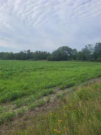 a view of a field of grass and trees