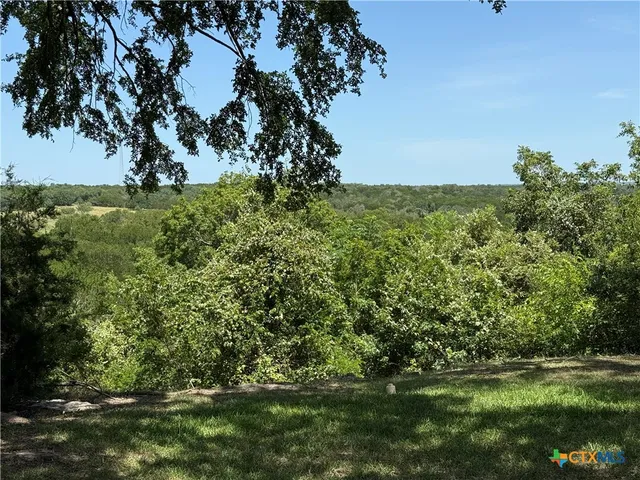 a view of a forest with mountains in the background