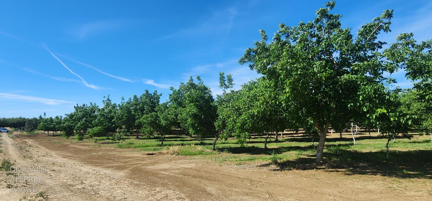0 George Road Williams, CA 95987 - Photo 2 of 13 a view of a park