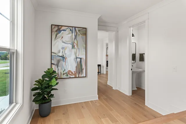 a view of a hallway with wooden floor and a potted plant