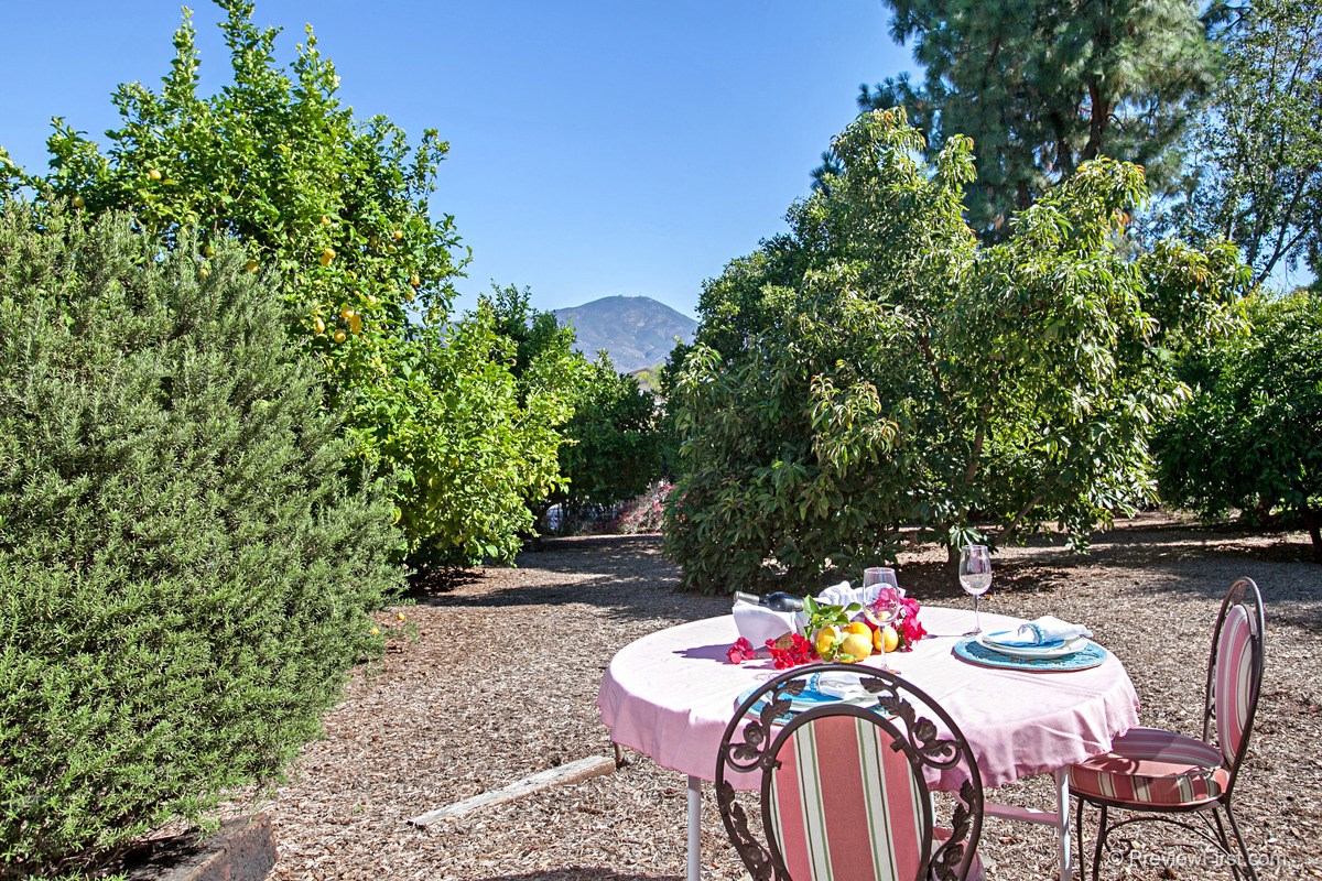5138 New Ranch Road El Cajon, CA 92020 - Photo 24 of 25 Orchard with mature citrus trees, avocado trees and raised garden beds. Beautiful view of the hills.