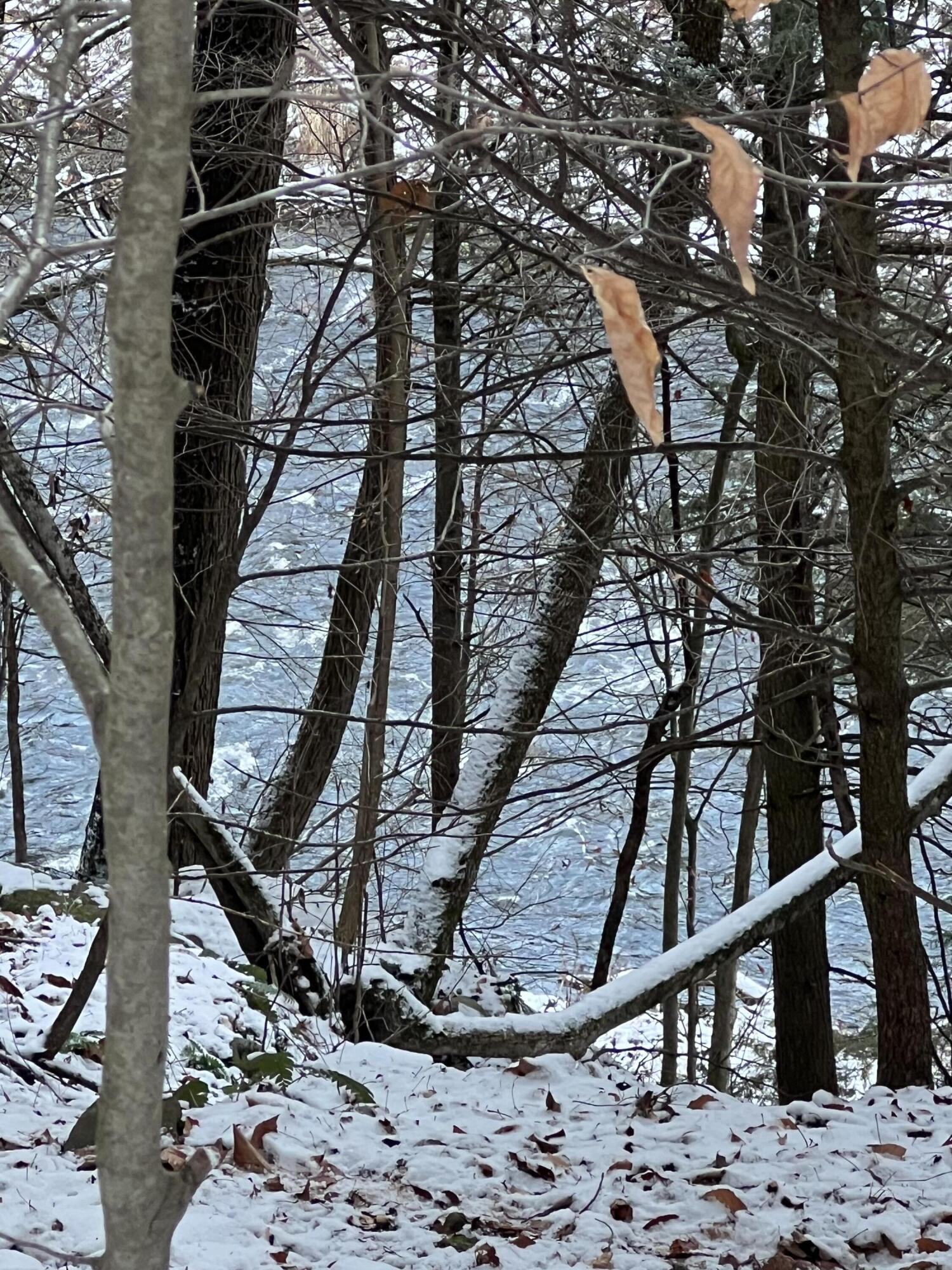 . Lewis Road Chateaugay, NY 12920 - Photo 9 of 14 Gallery Image 9